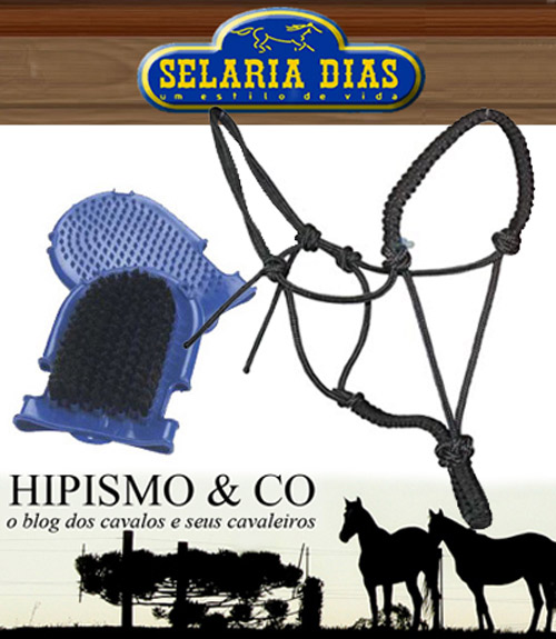 concurso_selariadias