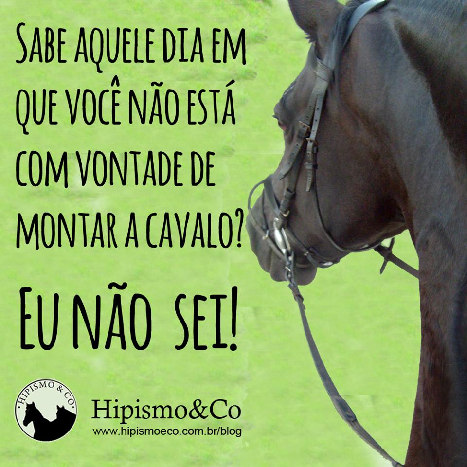 Memes cavalos e situa§µes h­picas