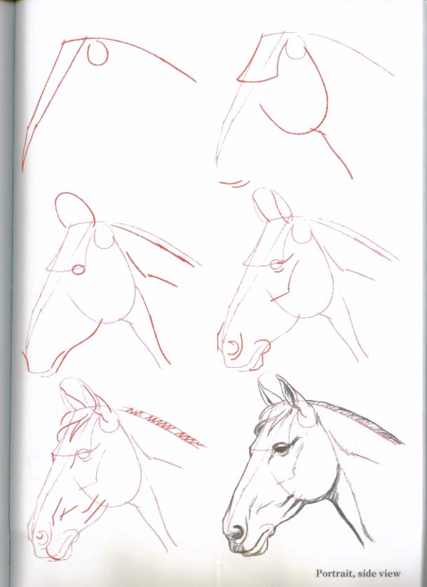 Featured image of post Desenhos De Cavalos Tumblr Para Desenhar Hora de empunhar o 6b