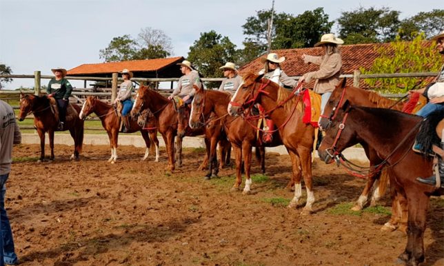 No lombo do cavalo, pantaneiro percorrerá 40 fazendas em aventura solitária  - Comportamento - Campo Grande News