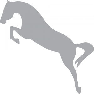 CSN** HARAS SANTA ESMERALDA
