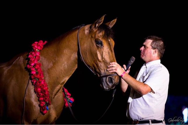 cavalo maestro