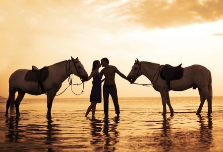 Amor Por Cavalos Hipismoco