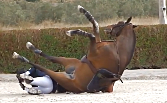 Jóquei Feminino Em Um Cavalo De Baía Escura Pulando Os Obstáculos