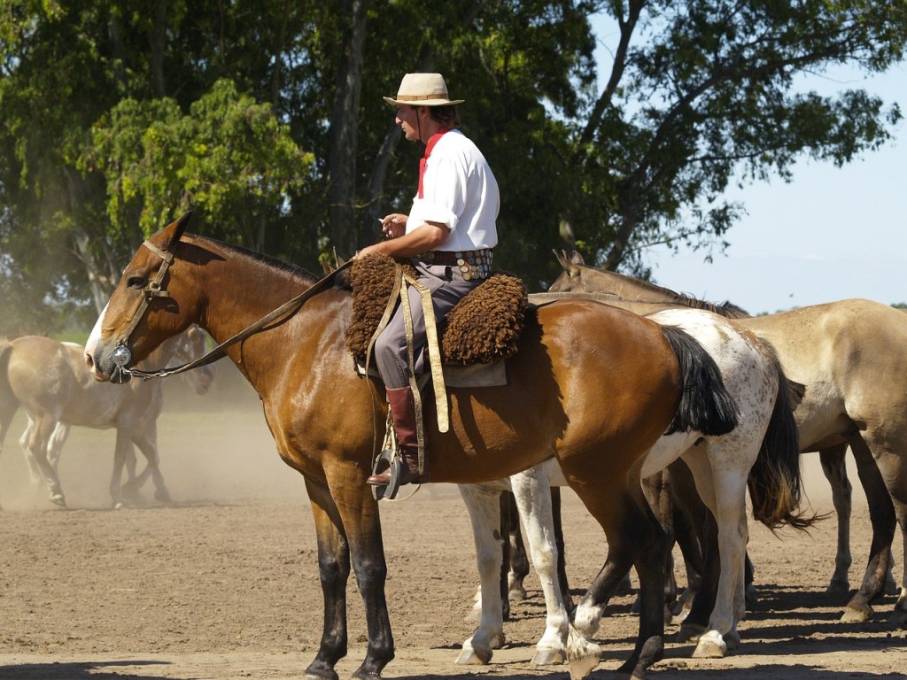 Dia do cavalo no Rio Grande do Sul – Hipismo&Co